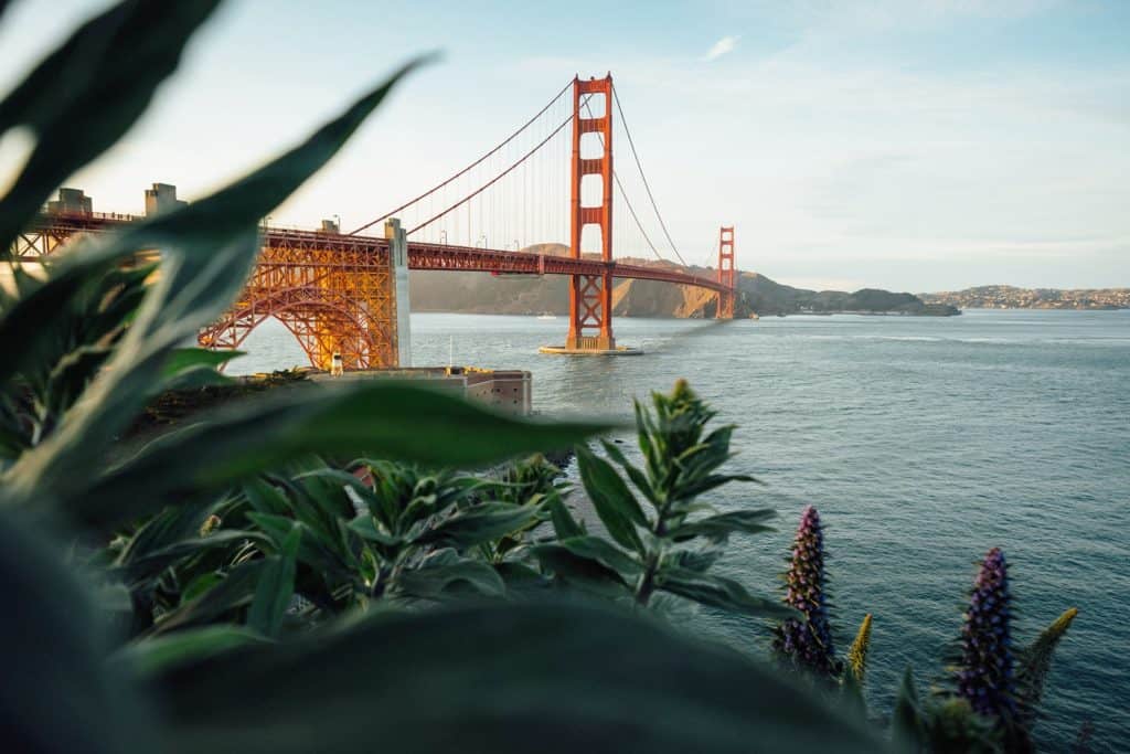 San Francisco Golden Gate Bridge across the water in the background with rich green plants in the foreground