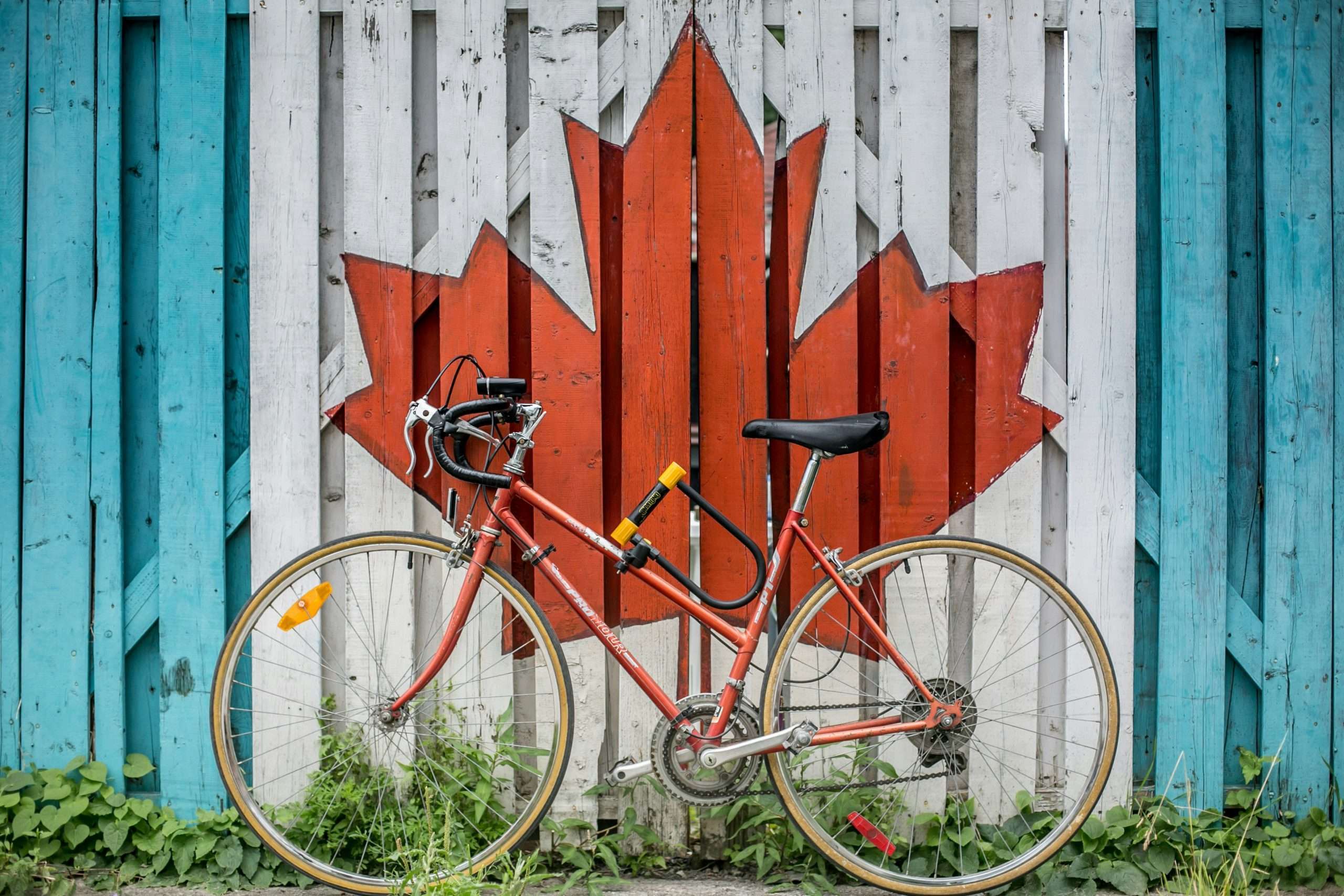 Bike parked in front of fence painted with red maple leaf.