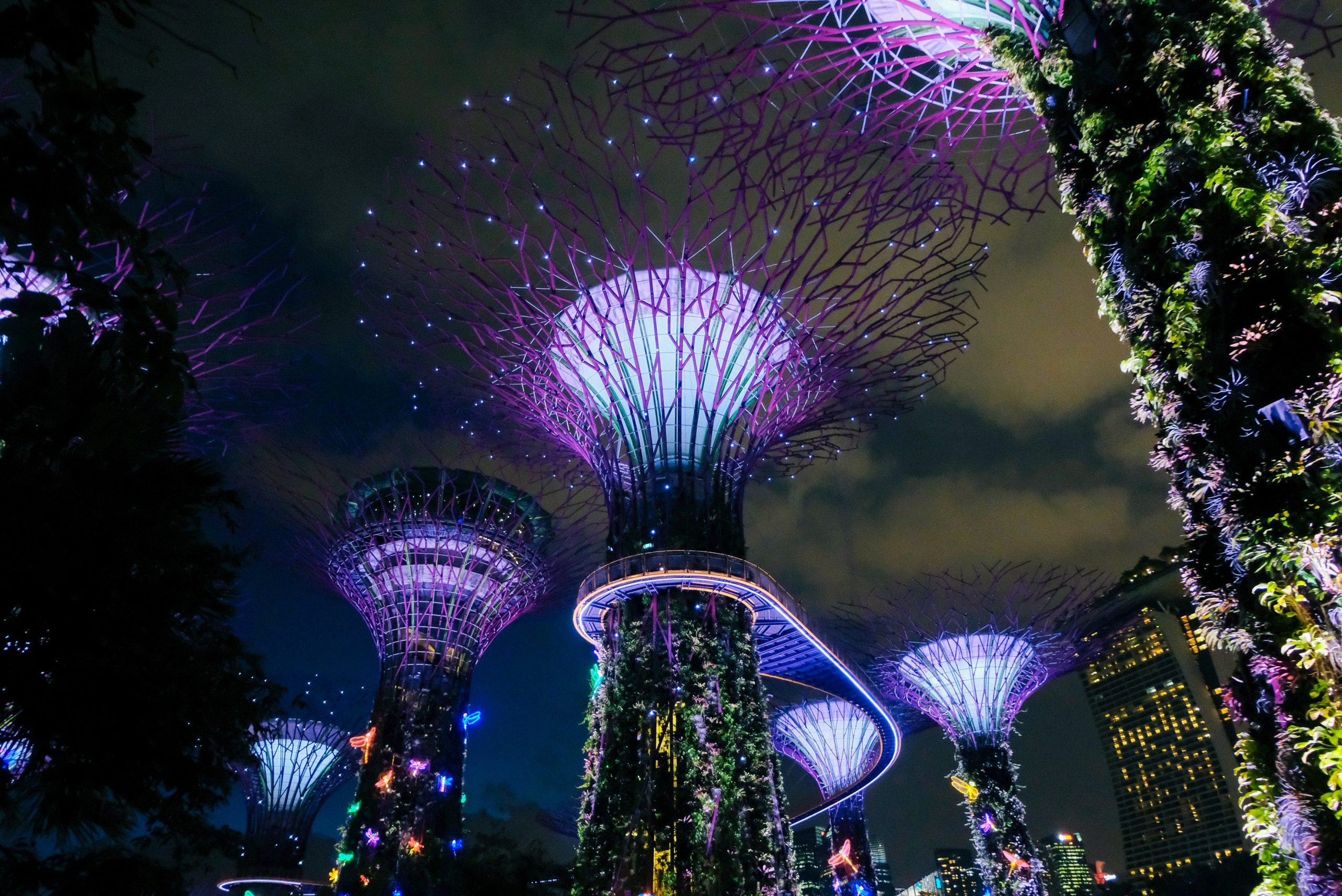 Purple lights against night skyline | Photo by Miguel Sousa on Unsplash