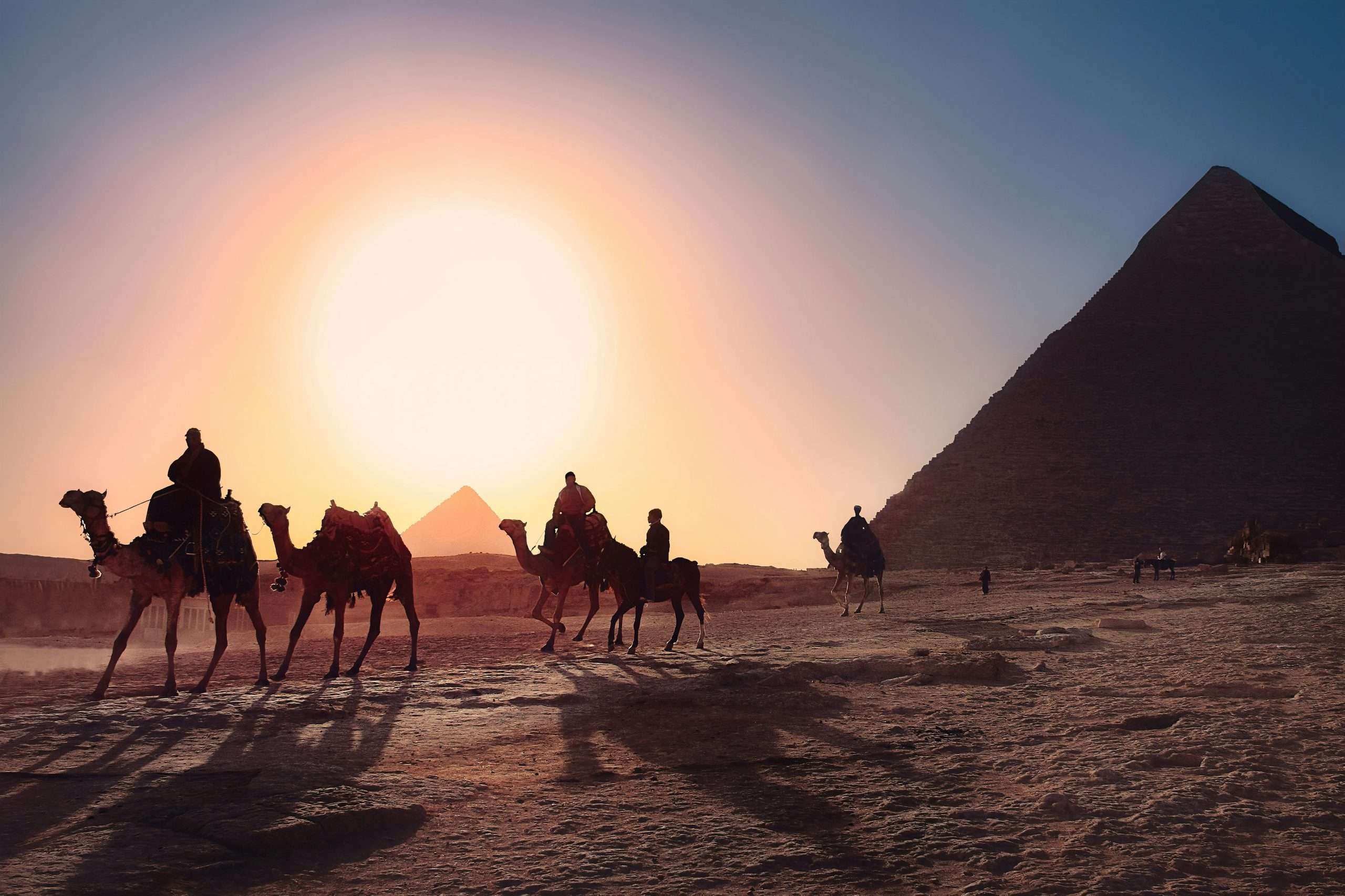 Camels walking across sand dunes in the sunset with the pyramid peeking behind.
