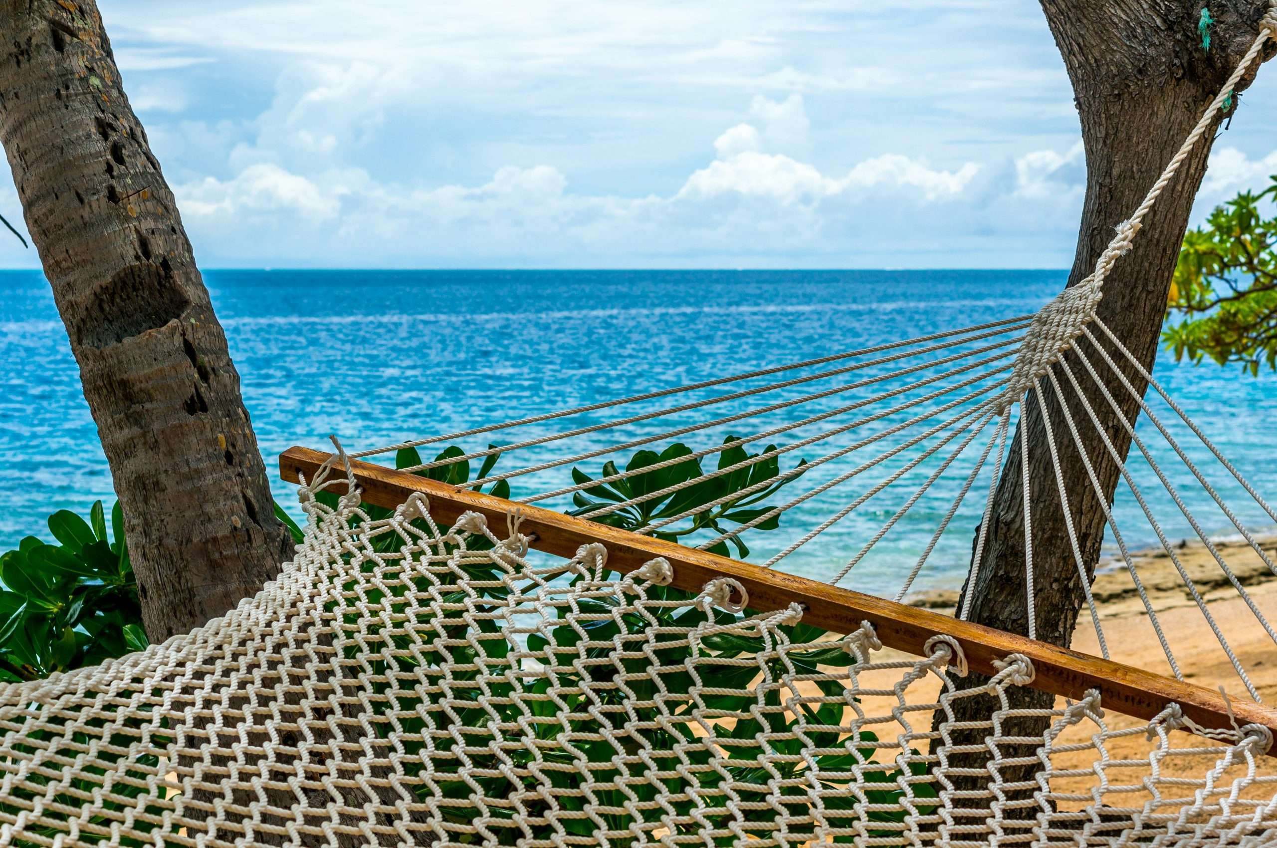 Photo by <a href="https://unsplash.com/@diempic?utm_content=creditCopyText&utm_medium=referral&utm_source=unsplash">Dean McQuade</a> on <a href="https://unsplash.com/photos/white-hammock-tied-on-tree-6QG53_QOtqM?utm_content=creditCopyText&utm_medium=referral&utm_source=unsplash">Unsplash</a>