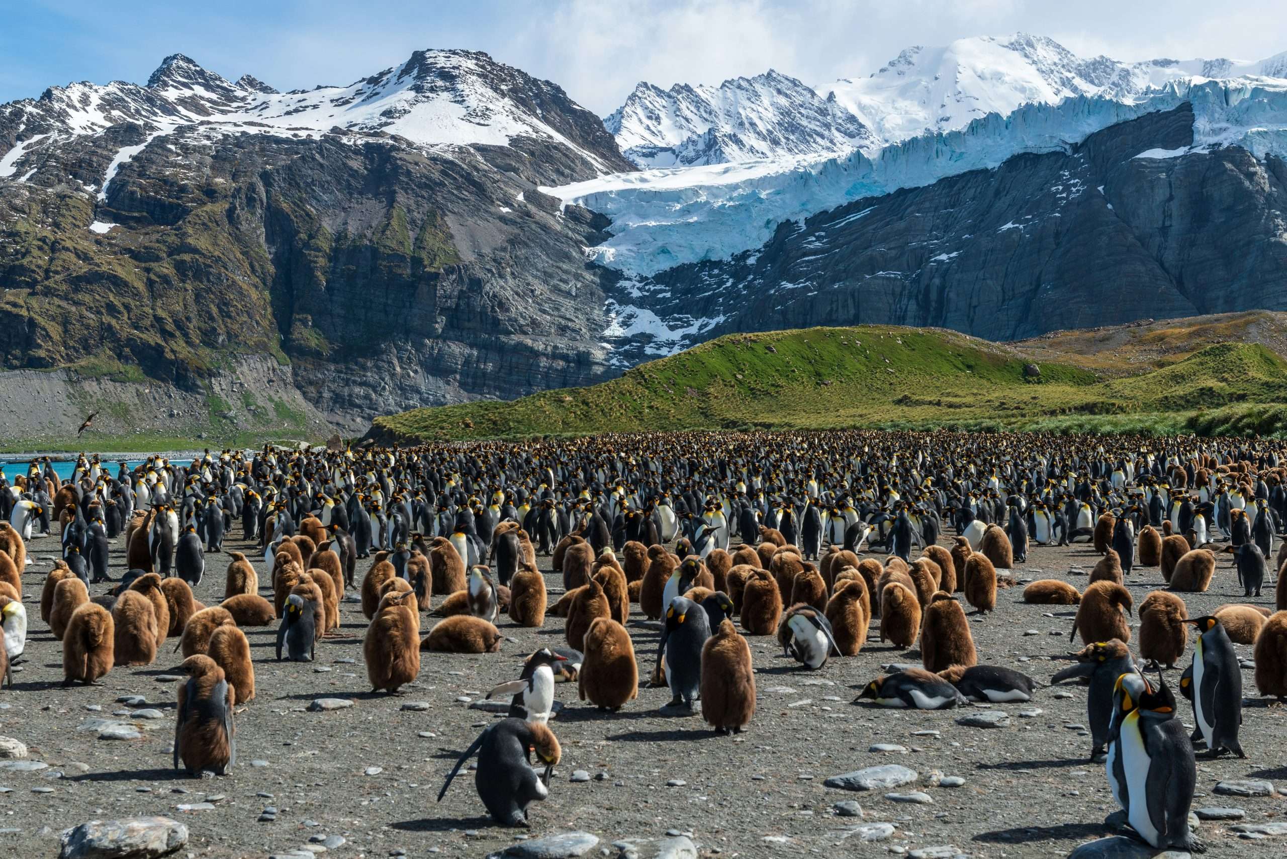 Photo by <a href="https://unsplash.com/@mudmanuk?utm_content=creditCopyText&utm_medium=referral&utm_source=unsplash">Paul Carroll</a> on <a href="https://unsplash.com/photos/flock-of-penguins-across-white-mountain-Z3EwKKX513k?utm_content=creditCopyText&utm_medium=referral&utm_source=unsplash">Unsplash</a>
      