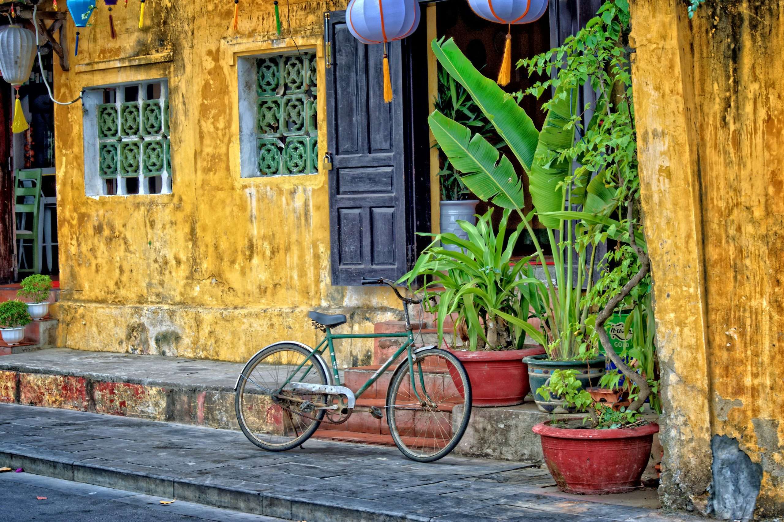Bicycle leaning against the bright yellow wall of a building with lush green potted plants in front | Photo by Steve Douglas on Unsplash
