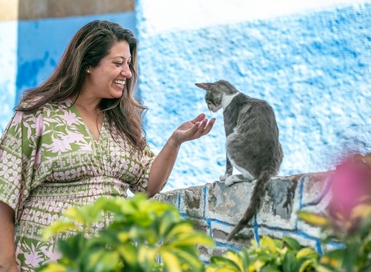 Woman standing and smiling by a concrete set of brightly blue painted wall attempting to pet a grey and white cat