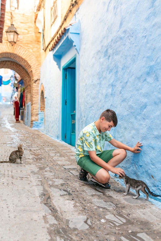 Young boy crouching on a cobblestone path against a bright blue painted wall as he pets a grey and white kitten in Chefchaouen