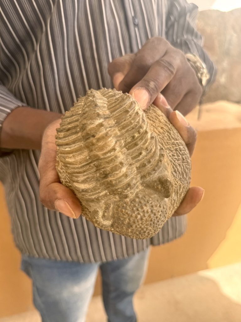 Guide holding and pointing to a trilobite fossil at a fossil museum in Erfoud, Morocco.