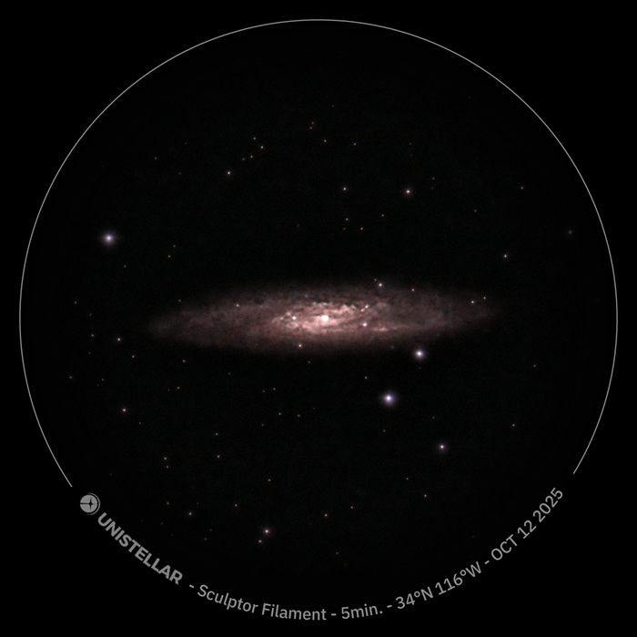 Observation of the Sculptor Galaxy through a digital telescope during a stargazing session in Joshua Tree.
