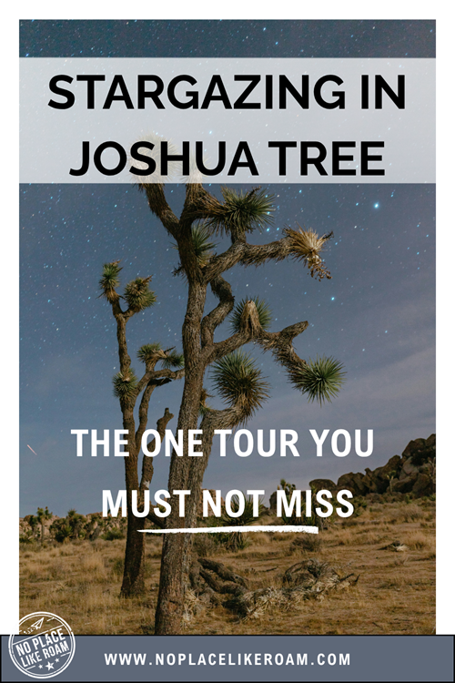 Joshua trees silhouetted under a star-filled desert sky in Joshua Tree National Park, promoting the must-do stargazing tour featured on No Place Like Roam.