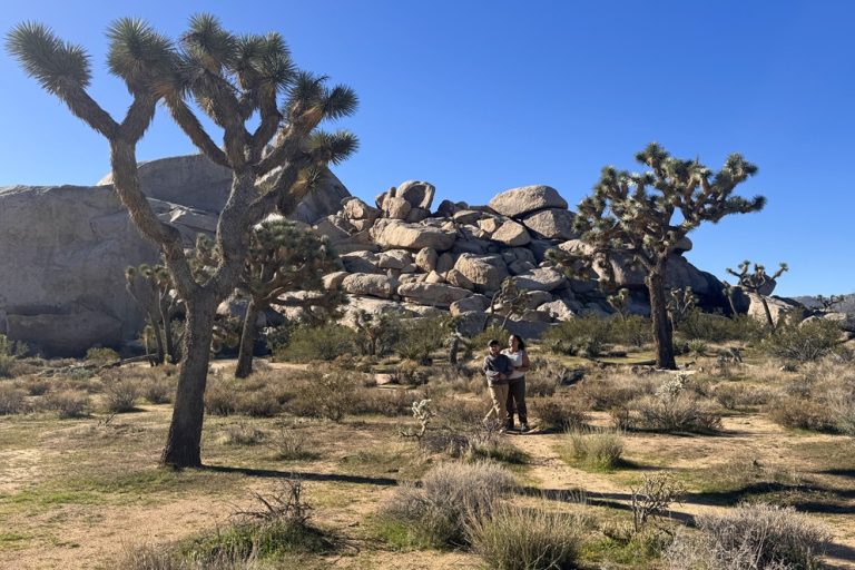 Woman and child smiling in the sunset in front of huge boulders and flanked by two iconic Joshua Trees